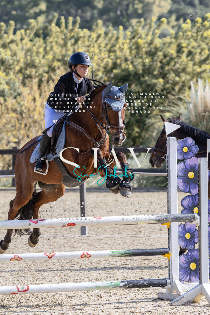 IMG_6276 | s-jay-photography - Realisiert mit Pictrs.com