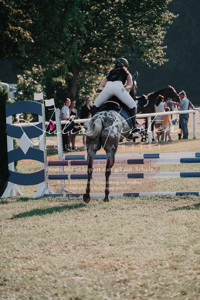 DSC_4481 | Pferde- und Turnierfotografie in Westsachsen. Pferdeportraits, Auftragszeichnungen und intuitive Kunst.