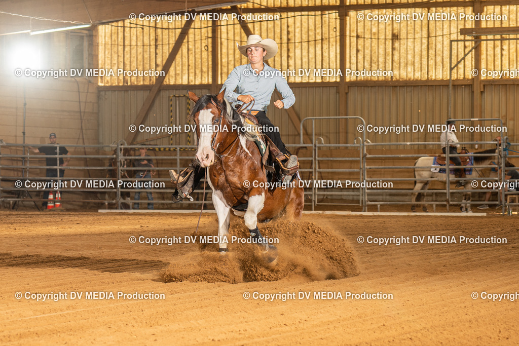 NID02111 | dv-media-shop - Realisiert mit Pictrs.com