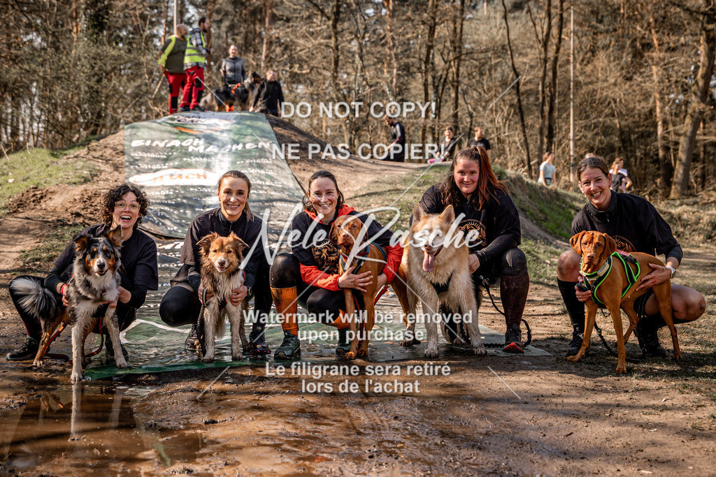 nelerasche_Hulsbeek_So1200-1230_295 | nelerasche