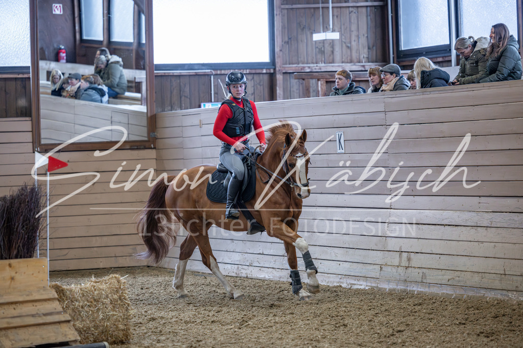 20260221-_3LI8916 | Tierfotografie Pferde, Hunde, Katzen, Haustiere.
Turnierfotografie Reitturniere, Reiten, Springreiten, Dressur in Hanau, dem Main-Kinzig-Kreis und dem Rhein-Main- Gebiet um Frankfurt