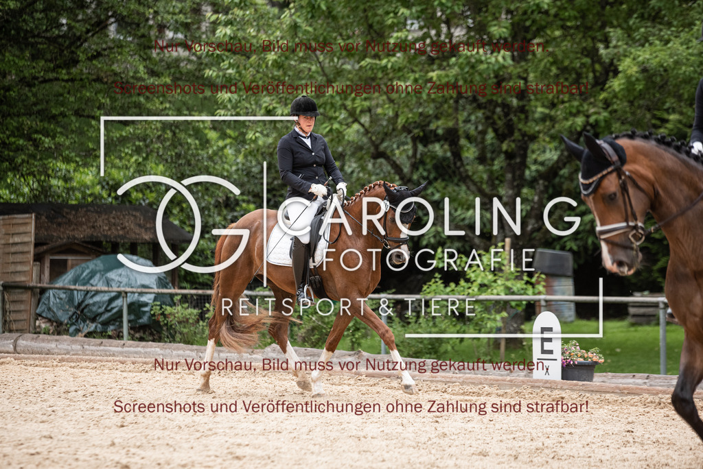 DSC_3366 | Turnierfotografin Carolin Gieschke, Turnierfotografie Carolin G Fotografie, Turnierfotos Kirchheim/Teck, Esslingen, Stuttgart, Bodenseekreis
