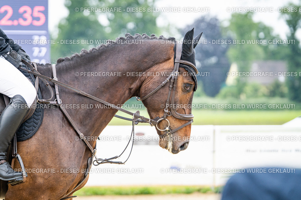 DSC09749 | Pferdegrafie