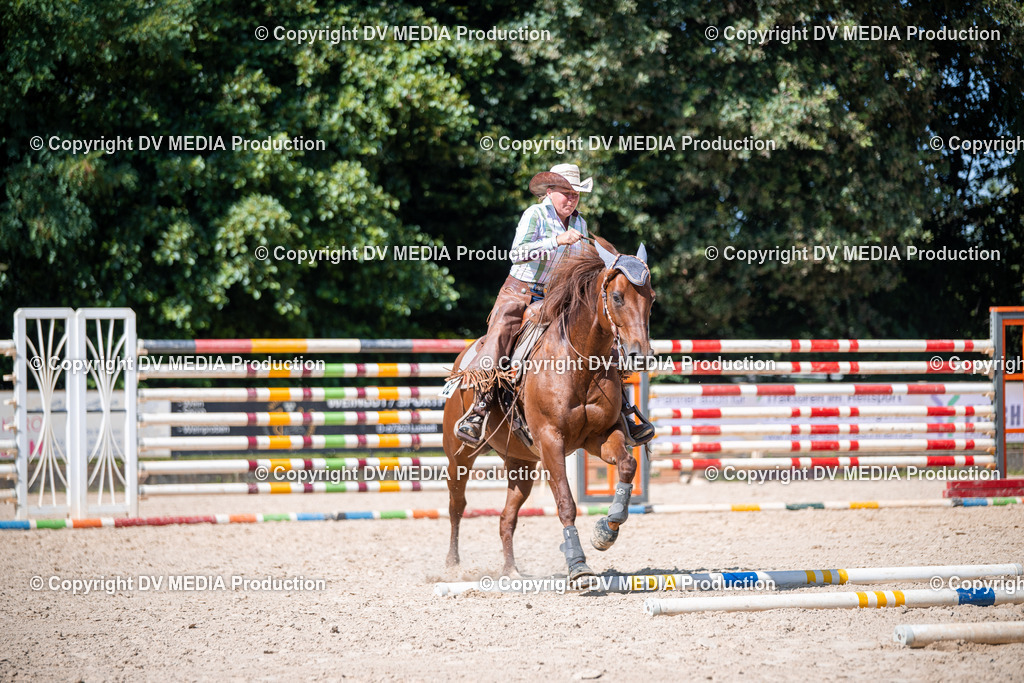 ZS1_1685 | dv-media-shop - Realisiert mit Pictrs.com