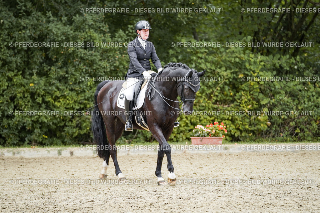 DSC02167 | Pferdegrafie