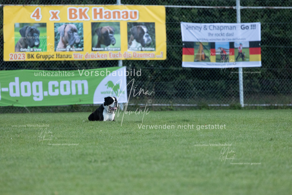 _16A5775 | Einzigartige Fotos von Hunden & Menschen –Actionfotos, Portraits, Vereinsaufnahmen & Paarshootings – authentisch, lebendig & mit Herz.