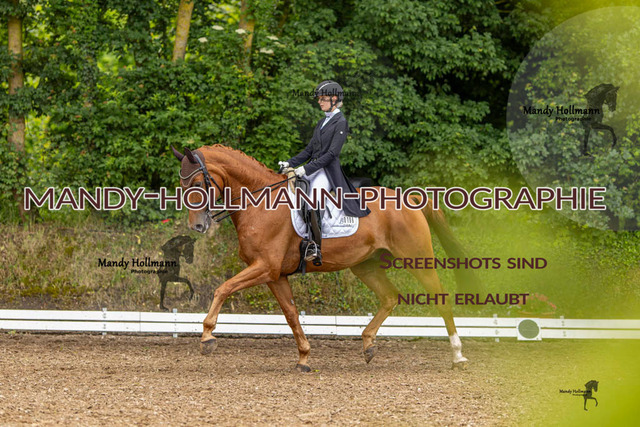 DRE S Filsum (130 von 491) | mandyhollmannphotographie