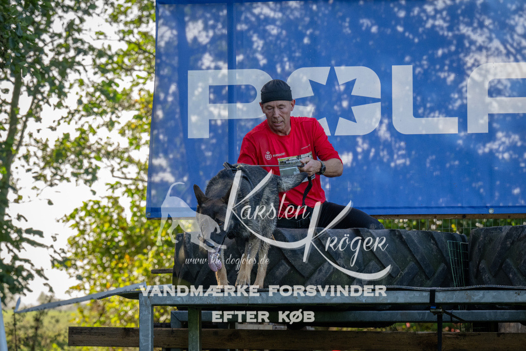 1129-92123 | kk-dogfotos