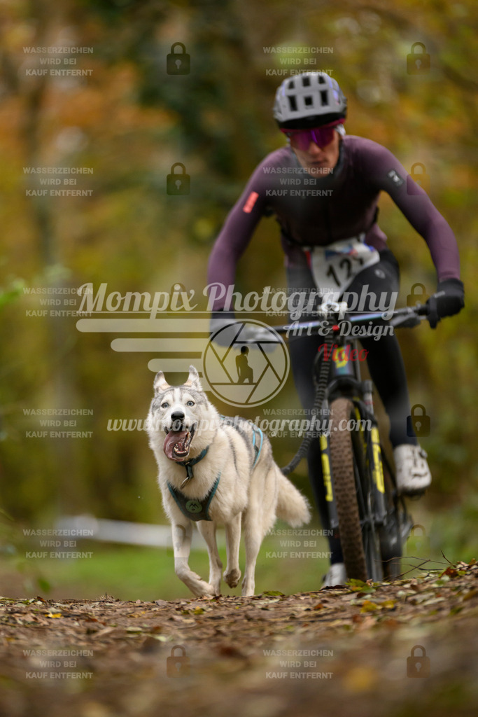 MompixPhotography_Bischwiller24_SA_VTT-56 | PayLife