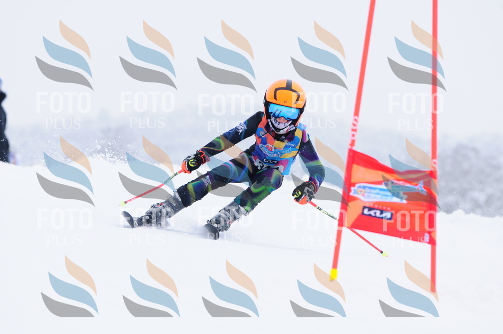 C3295 | holidayphoto