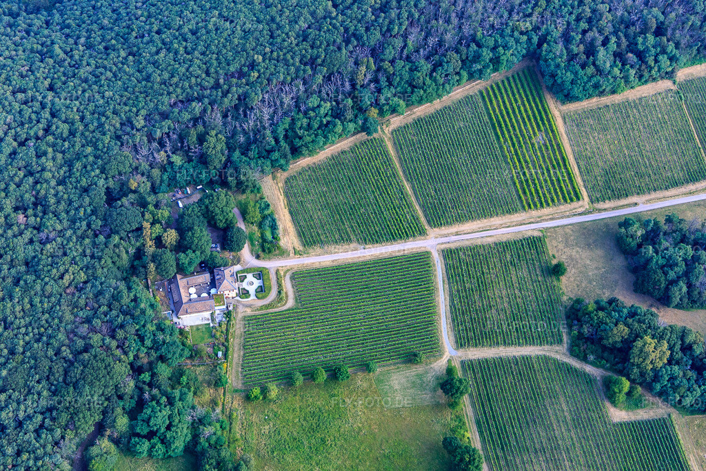 Luftbild: Weingut Odinstal in Wachenheim an der Weinstraße im Bundesland Rheinland-Pfalz in Deutschland. – Foto: IMG_108856.jpg vom 15.07.2018 durch Werner Riehm/FLY-FOTO.de – Auflösung des Originals: 5472 x 3648 px – Weingut Odinstal - Wachenheim an der Weinstraße