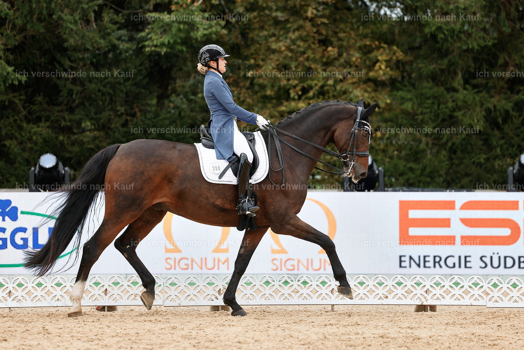 6-200-AMATUER-DRESSUR S_  -StoibPH-3526 | working equitationturnier fotograf videograf stoibphotography marixx film working equitation deutschland reitsport turnierfotografie eventfotografie equestrian events