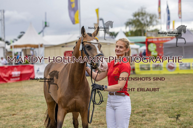 DR (1212 von 2698) | mandyhollmannphotographie