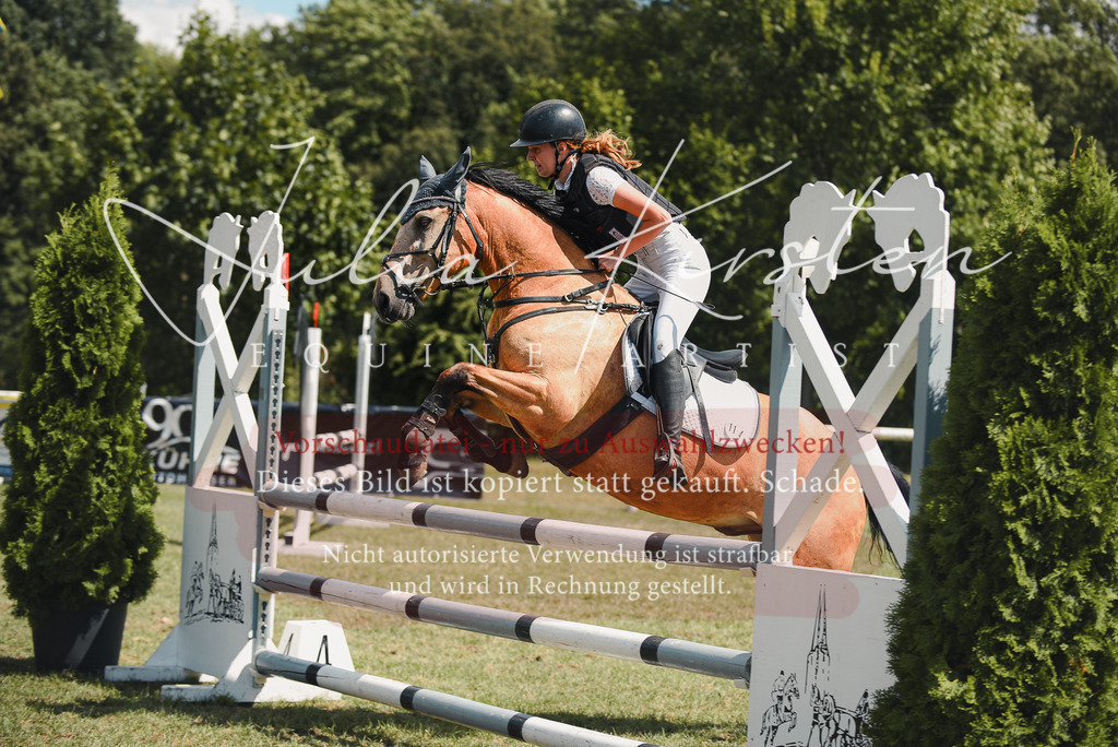 DSC_6787 | Pferde- und Turnierfotografie in Westsachsen. Pferdeportraits, Auftragszeichnungen und intuitive Kunst.