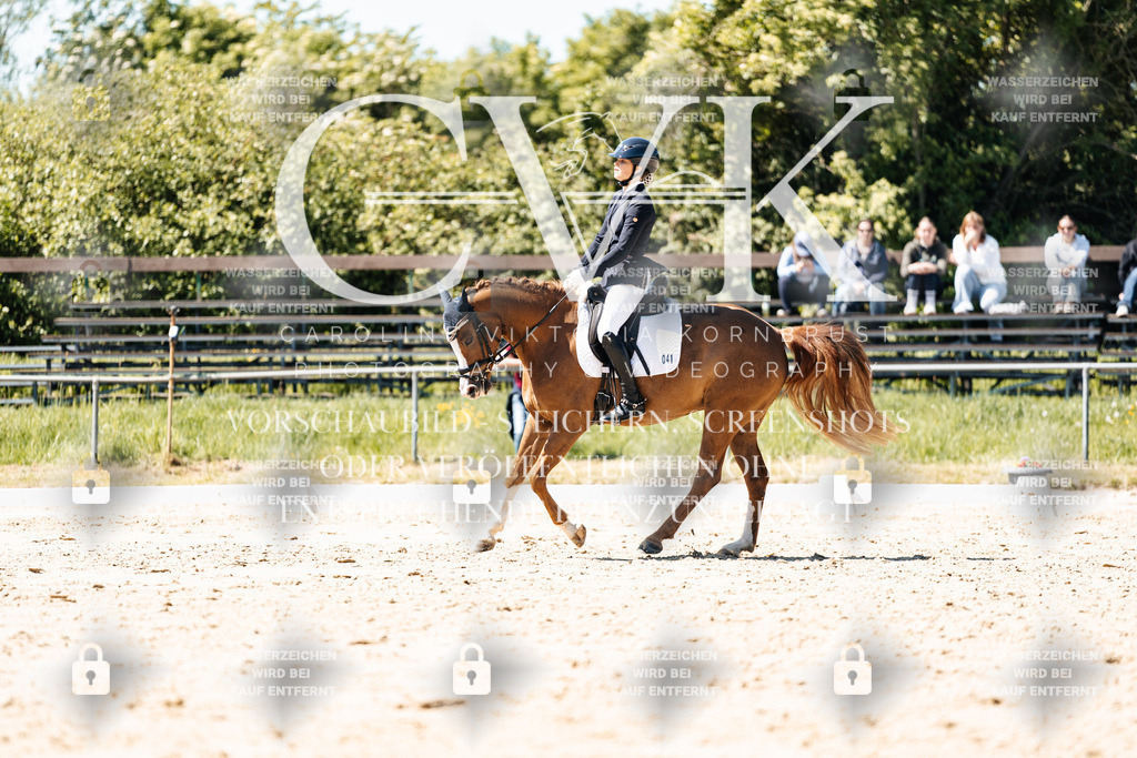 CK905677 | Turnierfotografie Pferdefotografie Trier Rheinland-Pfalz Pferdesport Reitsport Tierfotografie Sportfotografie Pferdevideo Pferdevideografie Equestrianvideography equestrianphotography  - Realisiert mit Pictrs.com