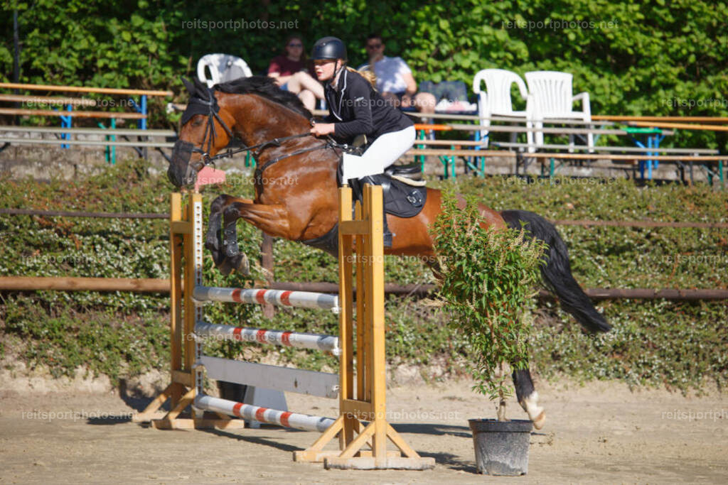 JHE_0863 | JoYa Fotografie - Realisiert mit Pictrs.com