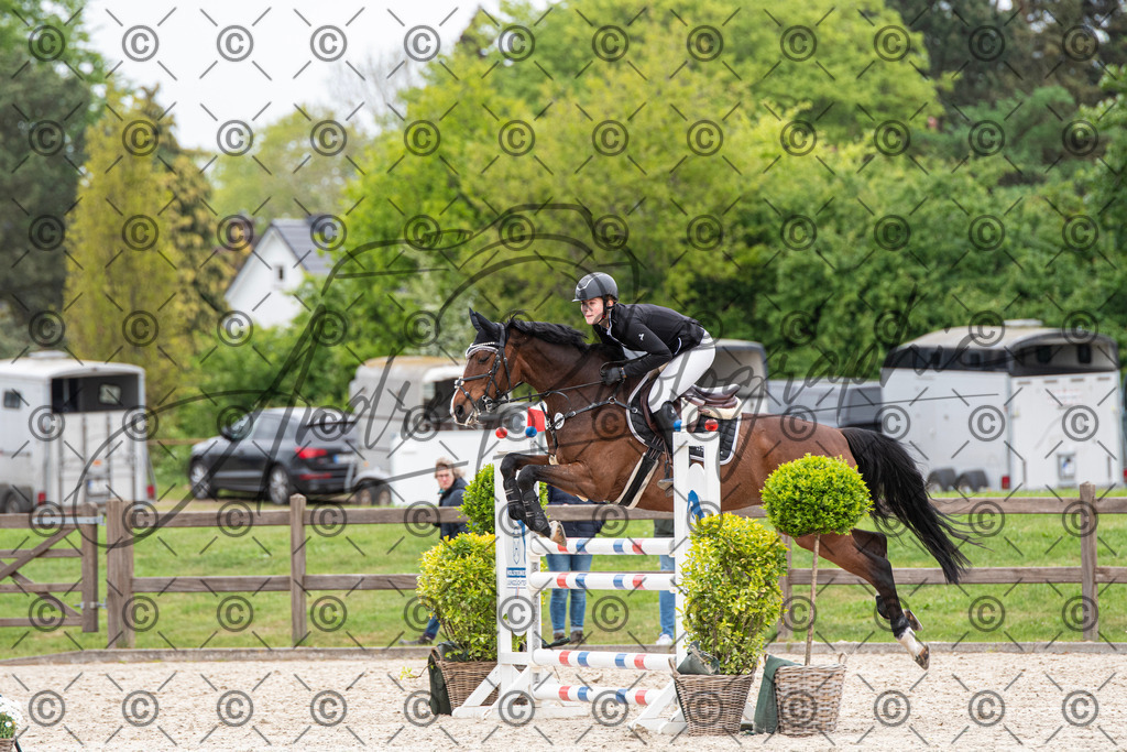 KPT_8508 | andre_photographic