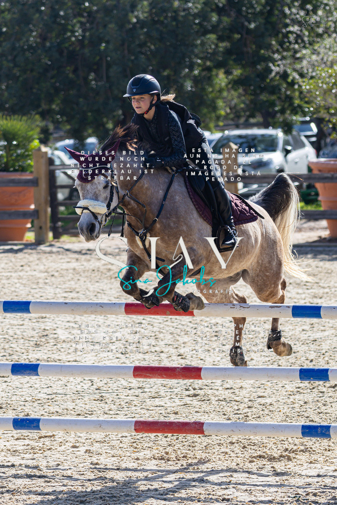 IMG_5379 | s-jay-photography - Realisiert mit Pictrs.com