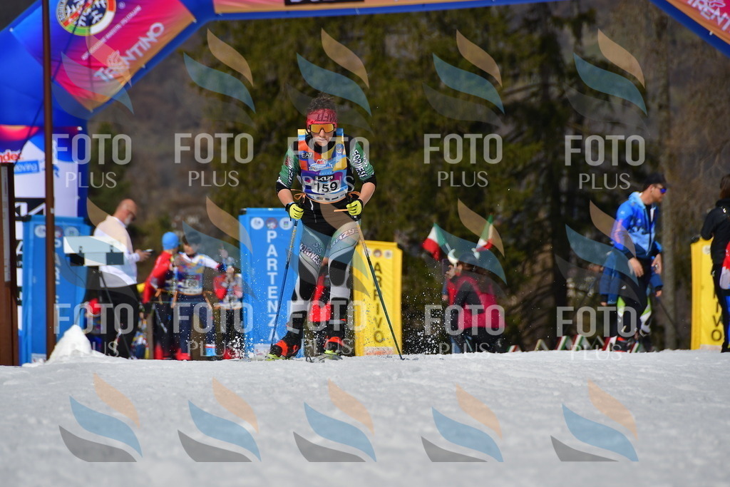 _DSC0384 | holidayphoto