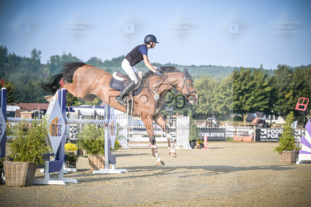 DOS_0631 | Entdecke hochwertige Reitturnierfotos von Foto Oger. Professionell, emotional und authentisch – jetzt Lieblingsmomente im Shop bestellen. - Realisiert mit Pictrs.com