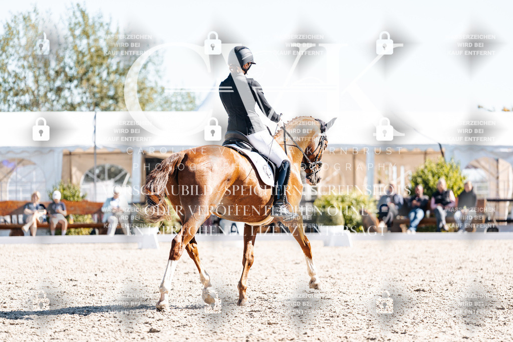 CK909165 | Turnierfotografie Pferdefotografie Trier Rheinland-Pfalz Pferdesport Reitsport Tierfotografie Sportfotografie Pferdevideo Pferdevideografie Equestrianvideography equestrianphotography  - Realisiert mit Pictrs.com