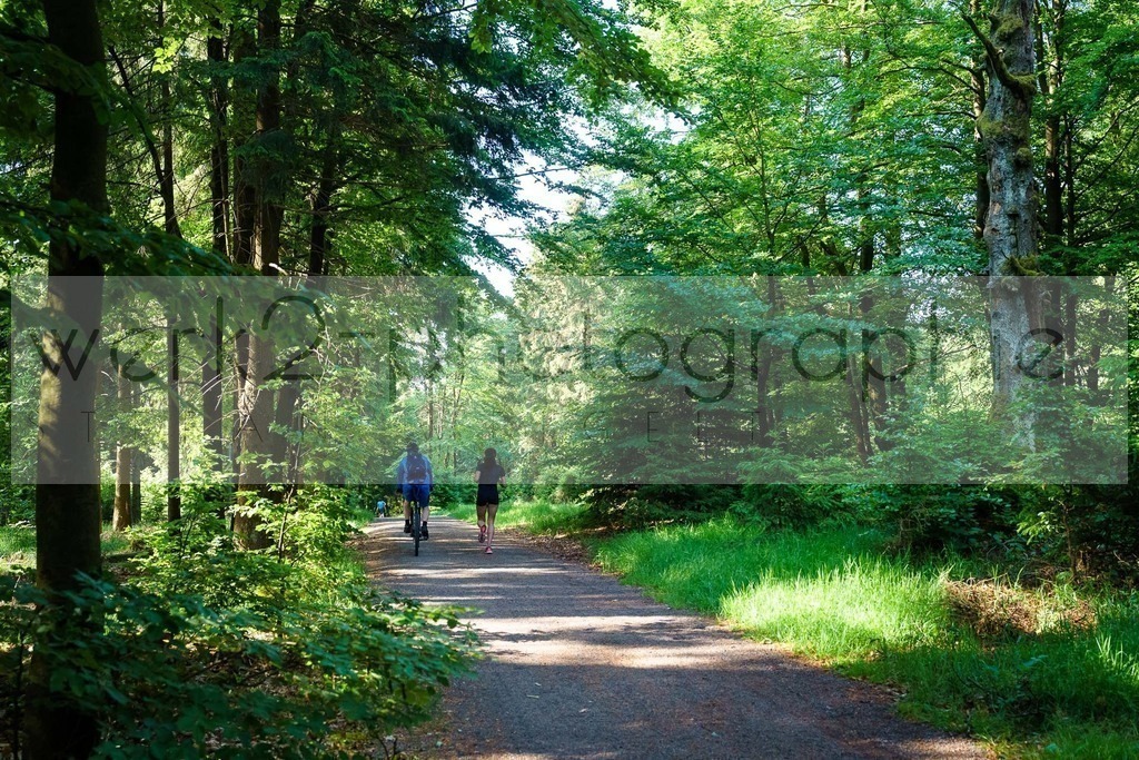 Rennsteig-Staffellauf 2023 | Rennsteig-Staffellauf - Hörschel bis Blankenstein - 17. Juni 2023
