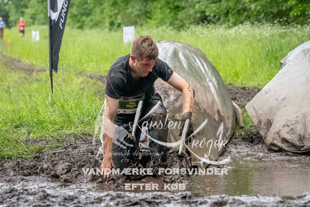 1547_ZZ90394-Bearbeitet | kk-dogfotos