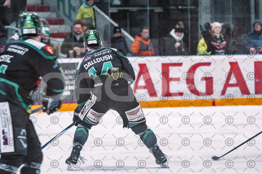 Alligators_vs_Memmingen_05_12_2025-170 | Höchstadt Alligators Fotogalerie: Eishockey-Action aus Franken. Professionelle Spielfotos, Portraits & Stadionbilder zum Download. Jetzt entdecken! - Realisiert mit Pictrs.com