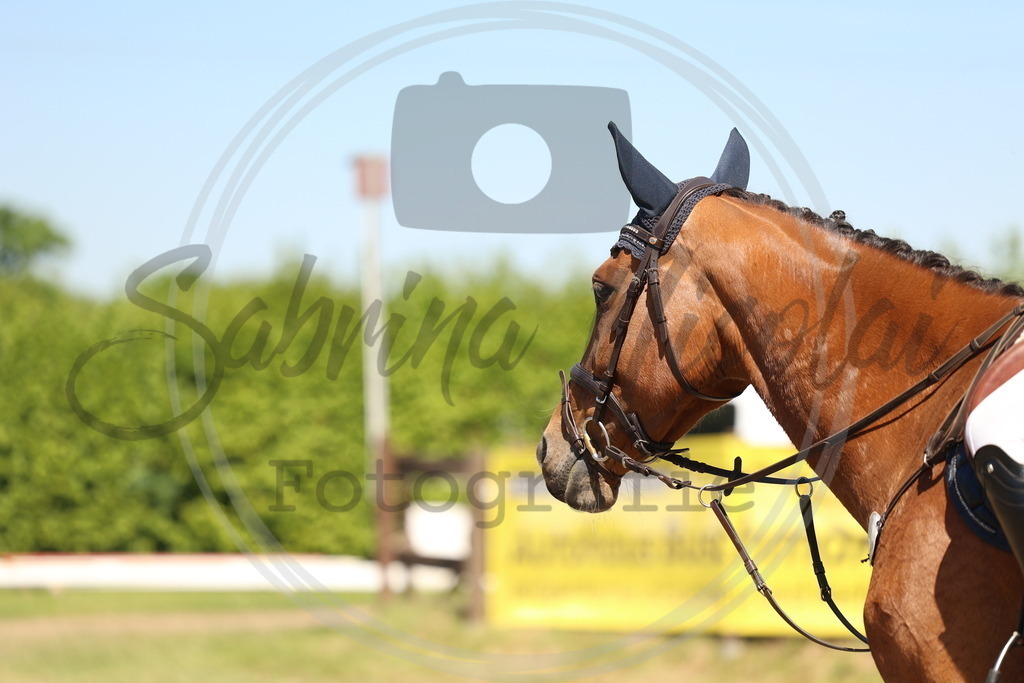 994A5820 | sabrinanicolaifotografie - Realisiert mit Pictrs.com