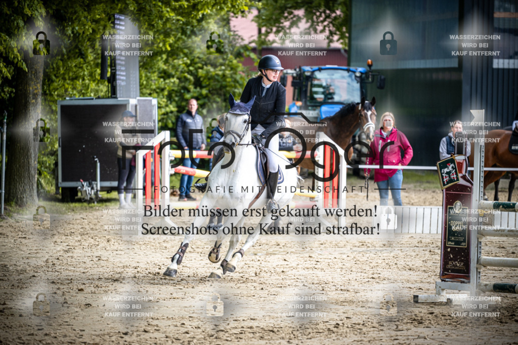 DOS_1853 | Reitturnier Lüdinghausen - Realisiert mit Pictrs.com