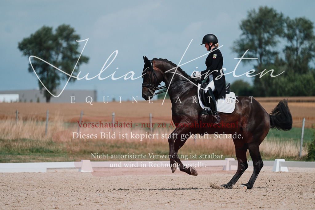DSC_4350 | Pferde- und Turnierfotografie in Westsachsen. Pferdeportraits, Auftragszeichnungen und intuitive Kunst.