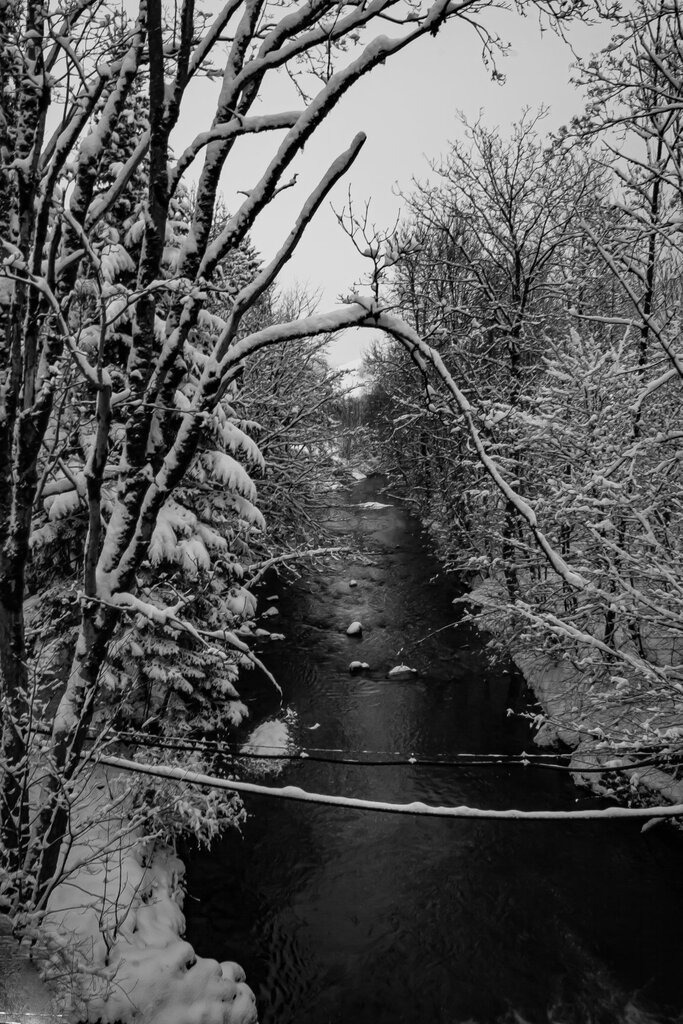 PSX_20250214_225238 | mtkfoto_ - Realisiert mit Pictrs.com