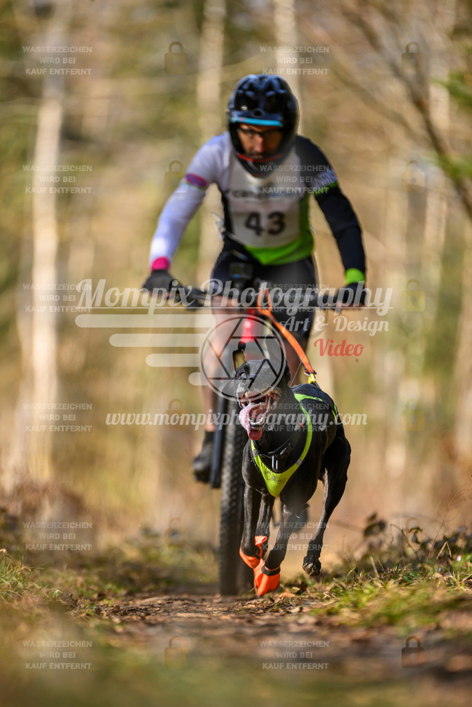 MompixPhotography_6ReiatRennen2026_SO_Bike-108 | PayLife