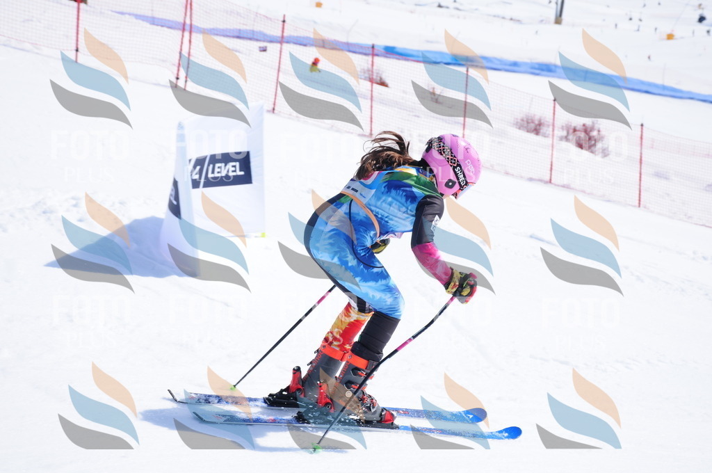 DSC_5263 | holidayphoto