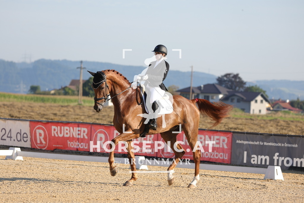 0P6A8365 | Willkommen bei Brunnmayr - Design & Fotografie – Ihrem Spezialisten für Reitturniere und Pferdeveranstaltungen in Oberösterreich, Salzburg und Bayern! Seit über 17 Jahren sind wir leidenschaftlich dabei.