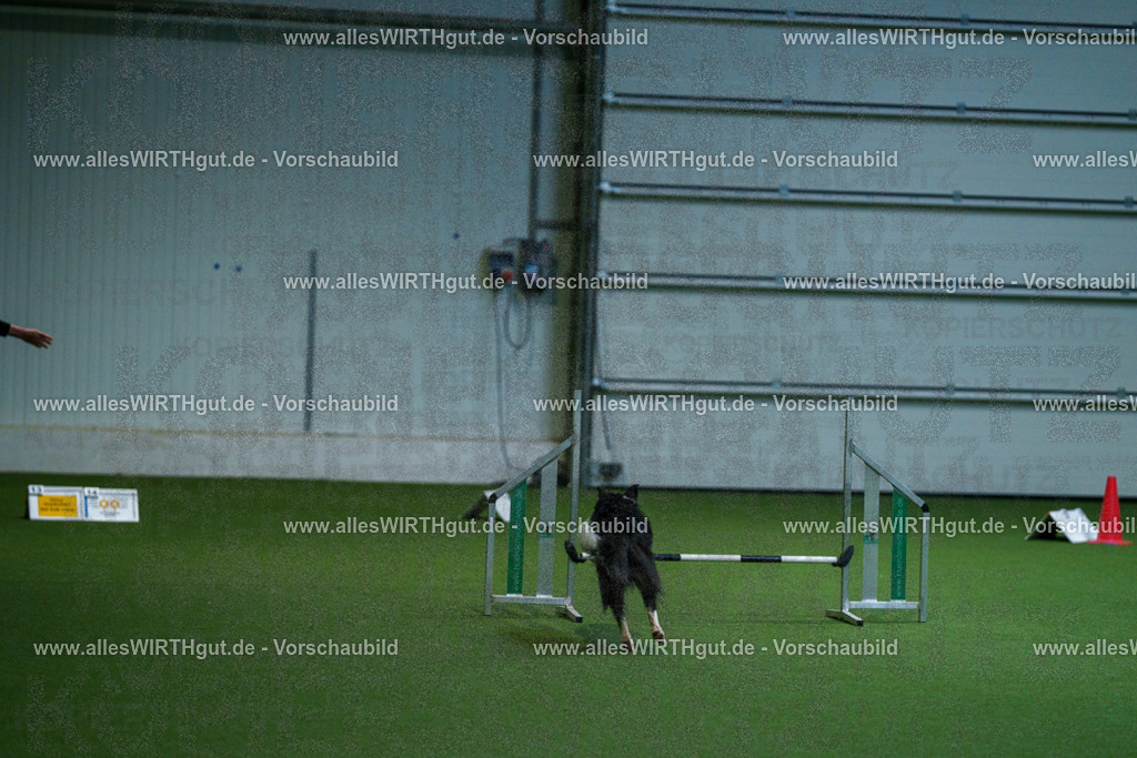 7R502754 | Professionelle Tierfotografie in Mönchengladbach von Daniel Wirth (allesWIRTHgut). Liebevolle & natürliche Bilder von Hunden & Katzen für unvergessliche Erinnerungen.