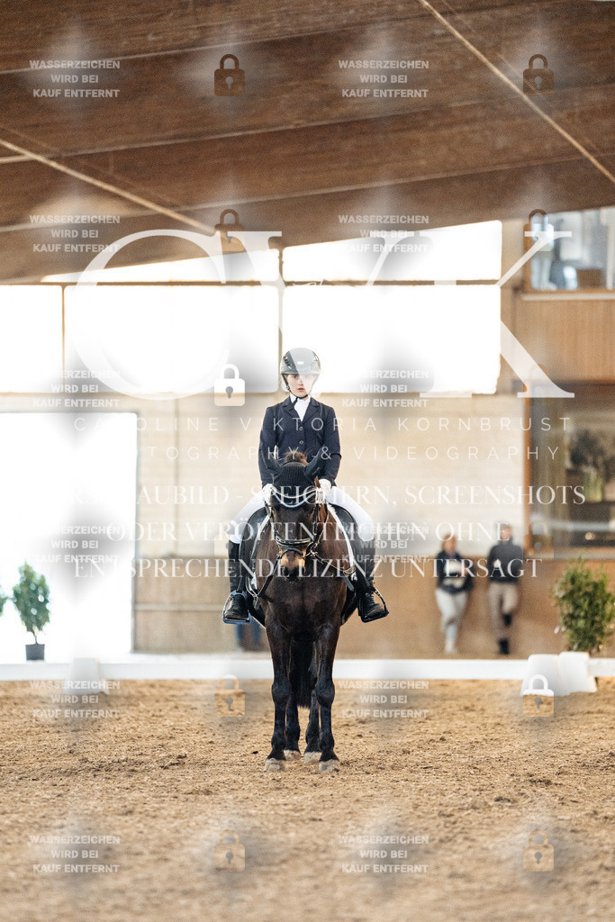 CK906671 | Turnierfotografie Pferdefotografie Trier Rheinland-Pfalz Pferdesport Reitsport Tierfotografie Sportfotografie Pferdevideo Pferdevideografie Equestrianvideography equestrianphotography  - Realized with Pictrs.com