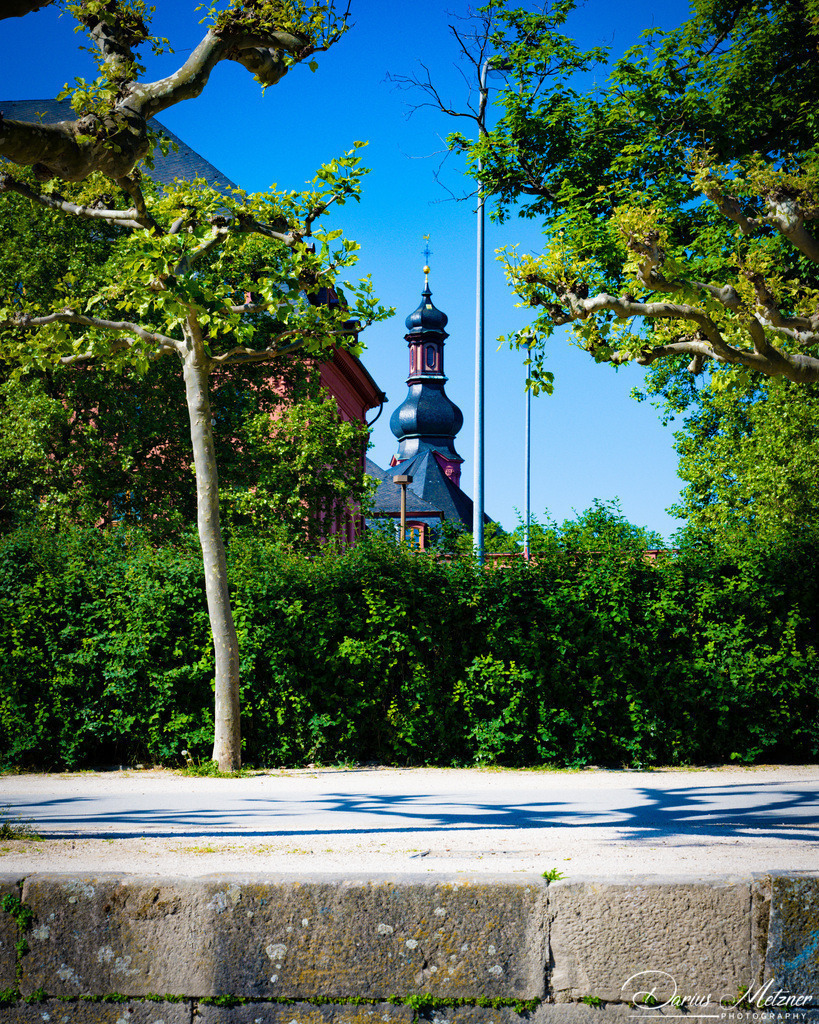 _DSC8874 | Fotografien, Fotos und Bilder aus Mainz, Frankfurt, Wiesbaden und anderen Orten auf der Welt - Fotografiert von Darius Metzner