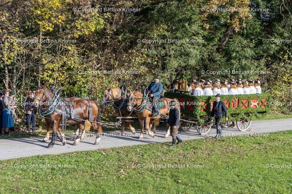 LBT24-260 | foto-bettina-krinner - Realisiert mit Pictrs.com