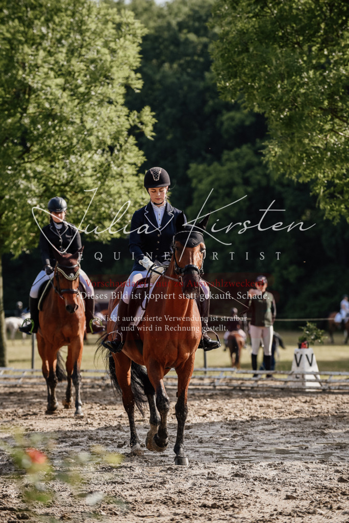 DSC_8466 | Pferde- und Turnierfotografie in Westsachsen. Pferdeportraits, Auftragszeichnungen und intuitive Kunst.