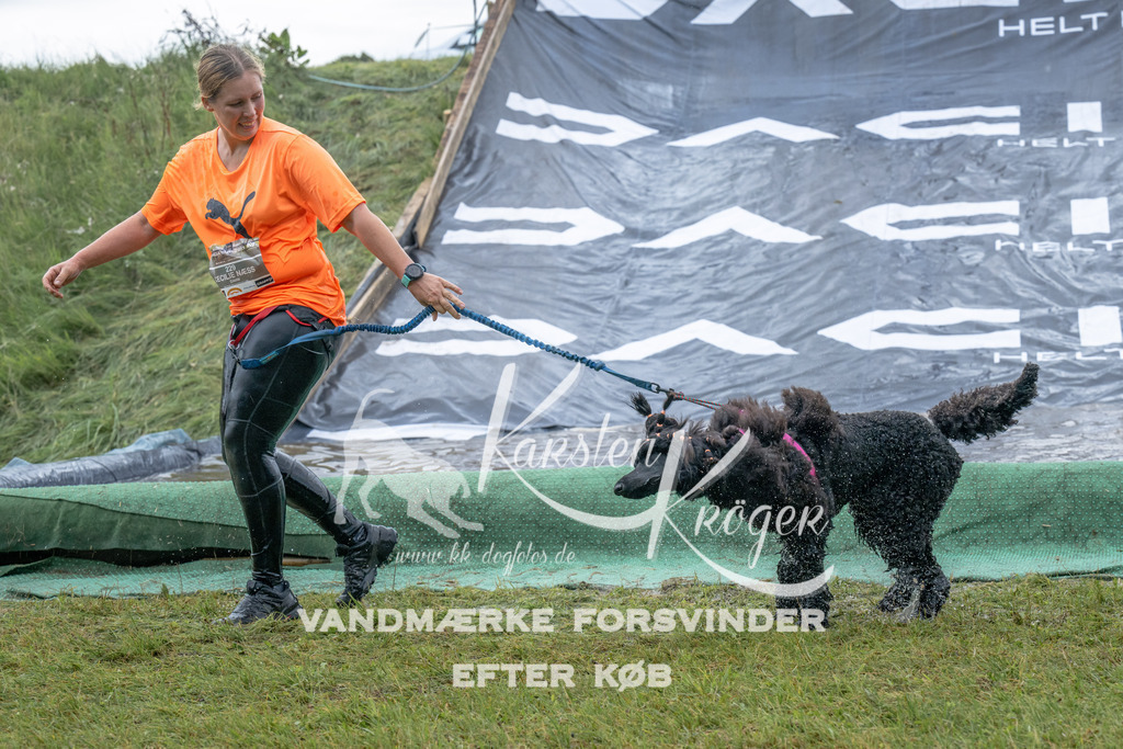 1539_ZZ94669 | kk-dogfotos