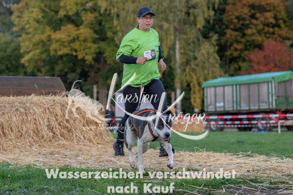 0825_ZZ90575 | kk-dogfotos