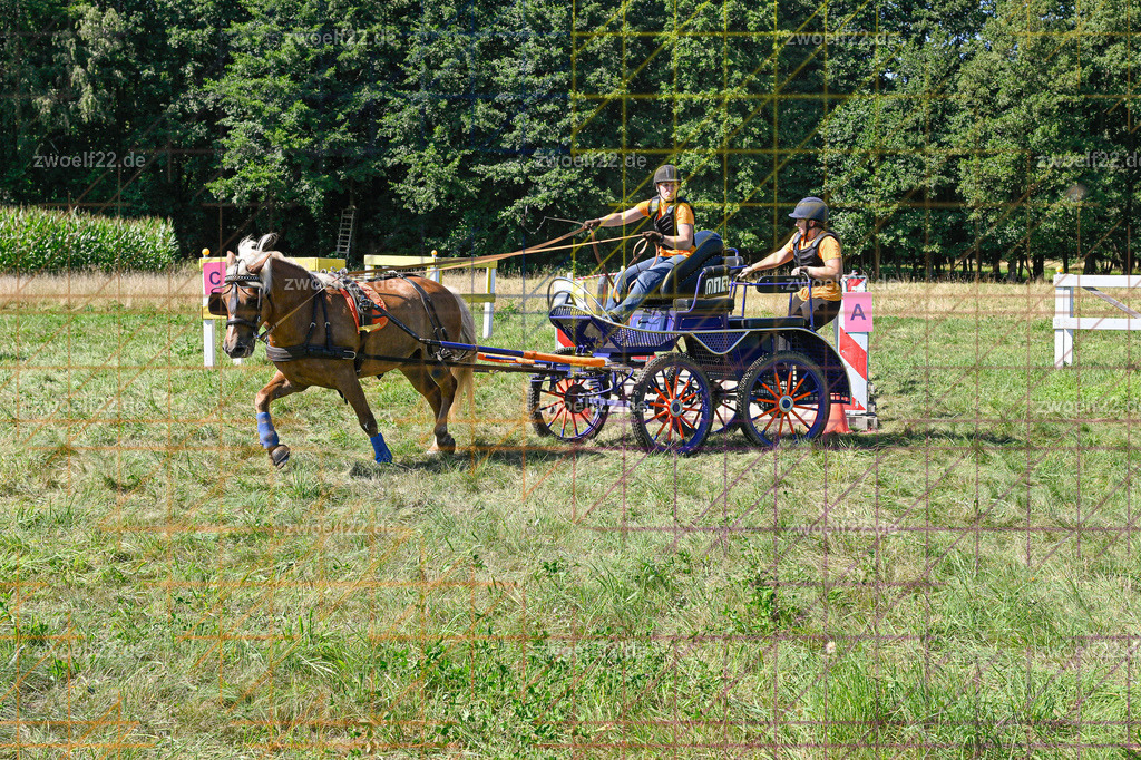 30 Jahre RFV Pulsnitz e.V., Pulsnitz am 09.08.2026 | 30Jahre Reit- und Fahrverein Pulsnitz e.V., Pulsnitz am 08.08.2026Zur 28. breitensportlichen Veranstaltung des RFV Pulsnitz e.V. fanden verschiedene Wettbewerbe in nahezu allen Disziplinen des Pferdesport statt.- Geländefahr-Wettbewerb - Realisiert mit Pictrs.com