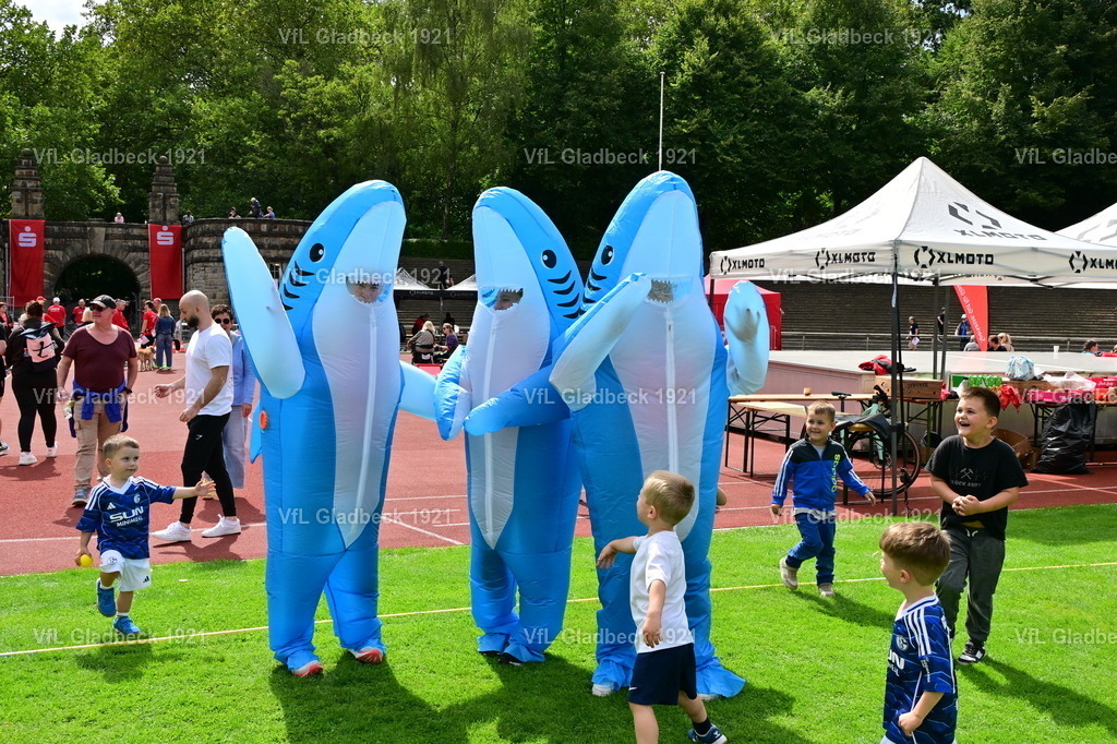2026-08-23_Sparkassenlauf_Haie_00011 | Die Fotografen - Realisiert mit Pictrs.com
