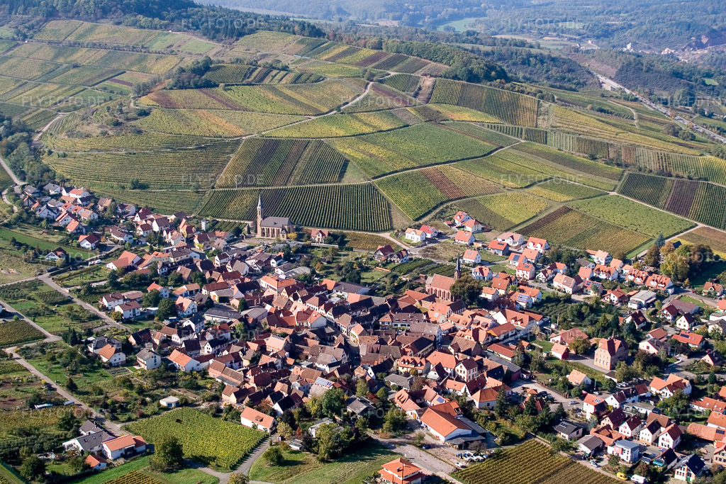 Luftbild: Weinbergen in Birkweiler im Bundesland Rheinland-Pfalz in Deutschland. Foto: IMG_8372.jpg vom 06.10.2007 durch Werner Riehm/FLY-FOTO.de