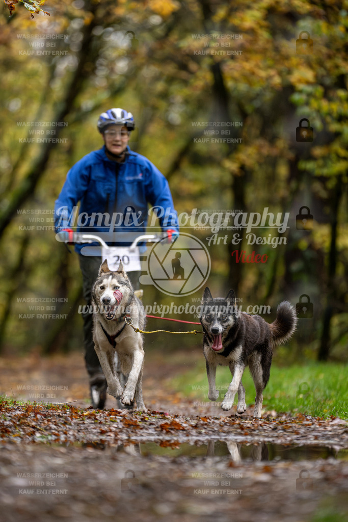 MompixPhotography_Bischwiller23_DS2-31 | PayLife