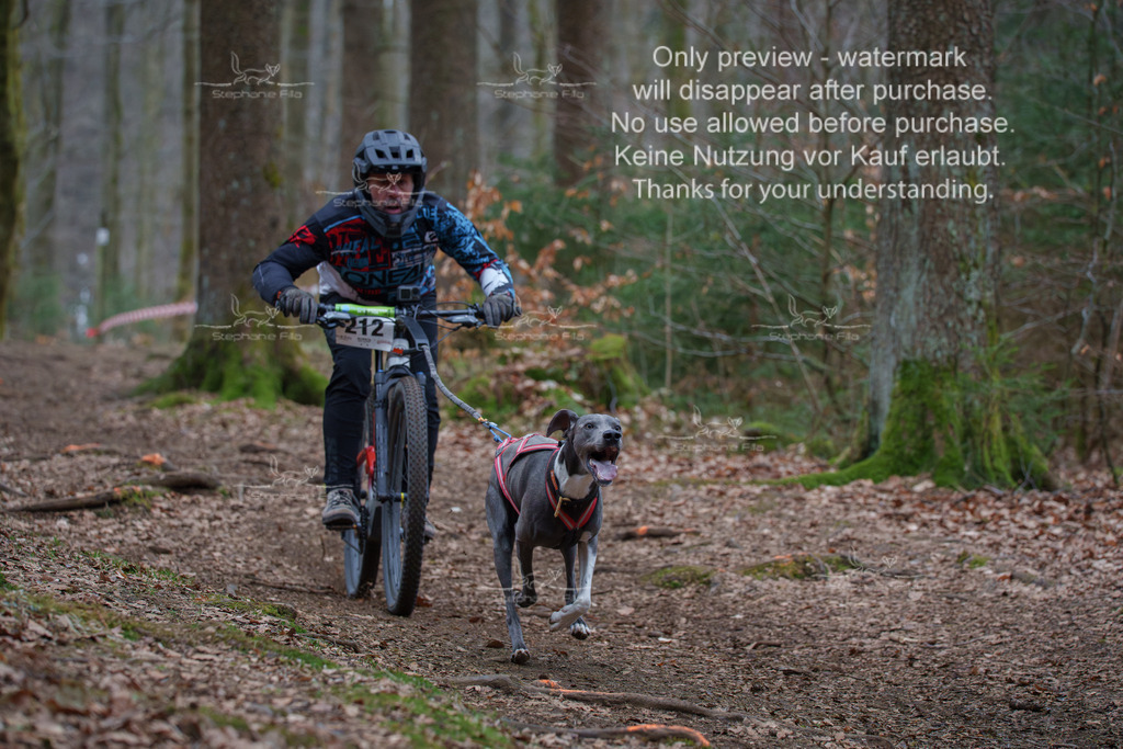 Bike_So-18 | stephaniefillaphotographie - Realisiert mit Pictrs.com