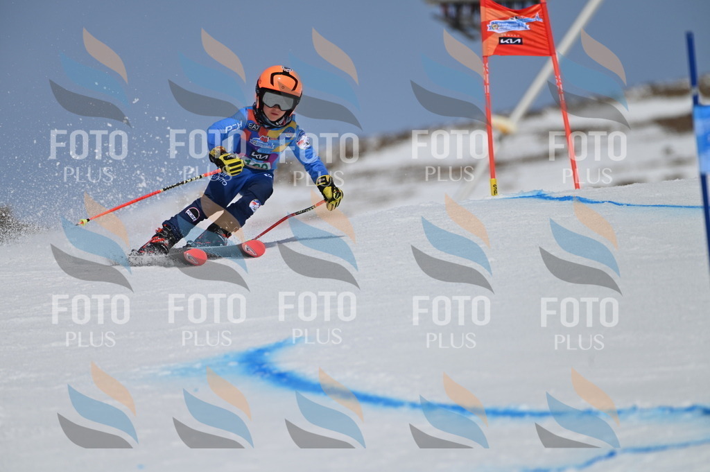 BGV_3335 | holidayphoto