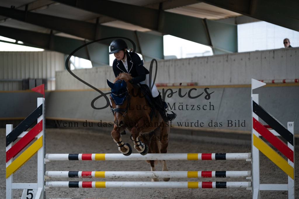 A7V07847 | Pferdefotograf