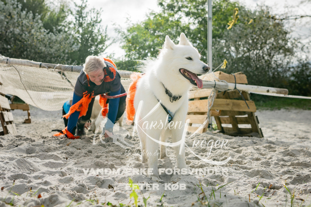 1202_ZZ99924 | kk-dogfotos